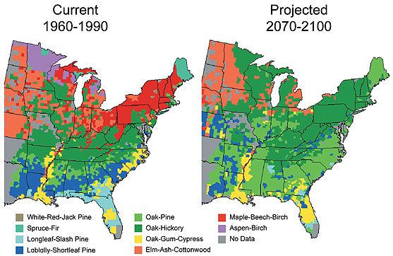US Forests Shift Northward