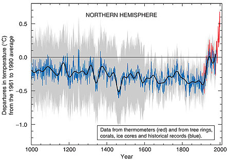 MBH99 graph as shown in the 2001 IPCC report